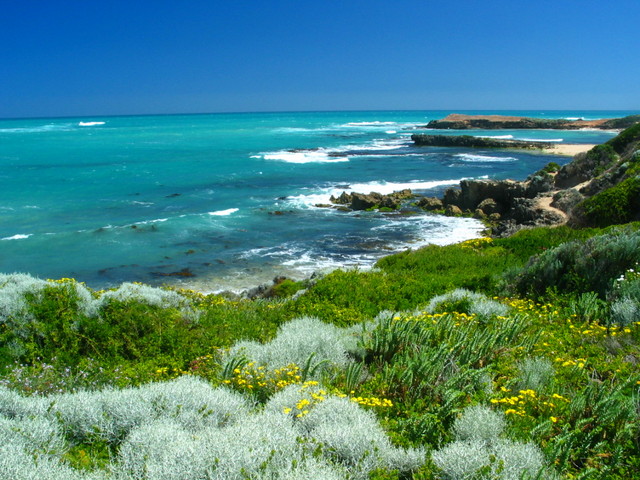 nature coastline